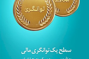 بیمه مرکزی توانگری بیمه دی را سطح یک اعلام کرد