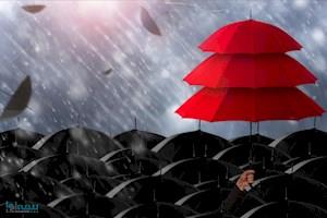 افزایش سرمایه بیمه کوثر از سود انباشته