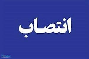 سرپرست دفتر امور بانکی وزارت اقتصاد منصوب شد