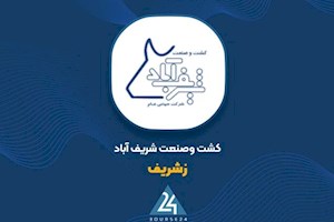 رشد ۴۷ درصدی ارزش تولیدات و جهش سودآوری «زشریف»