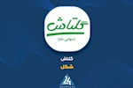 فروش ۷ ماهه «شگل» از ۱.۵ همت عبور کرد