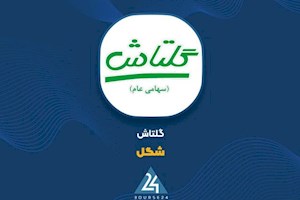 فروش ۷ ماهه «شگل» از ۱.۵ همت عبور کرد