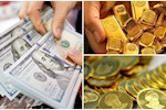 قیمت سکه و ارز امروز هشت مرداد چقدر است؟