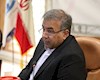 پیش فروش سکه، سد راه سرمایه‌گذاری برای تولید نیست