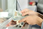 دلار زیر فشار «ارزهای برنگشته»؛ 15 میلیارد دلار از جیب مردم رفت؟